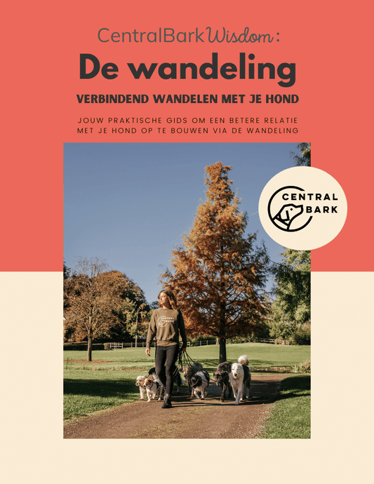 E-book 'De Wandeling'