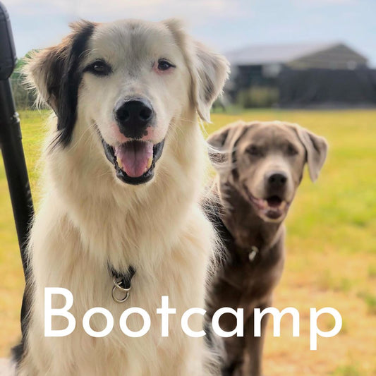 Bootcamp - Refresh training