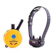 E-Collar Ecollar